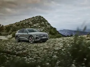 Audi Q8 e-tron e Q8 Sportback e-tron