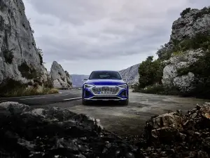 Audi Q8 e-tron e Q8 Sportback e-tron