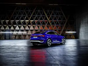 Audi Q8 e-tron e Q8 Sportback e-tron - 209