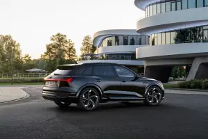 Audi Q8 e-tron e Q8 Sportback e-tron - 133