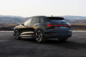 Audi Q8 e-tron e Q8 Sportback e-tron