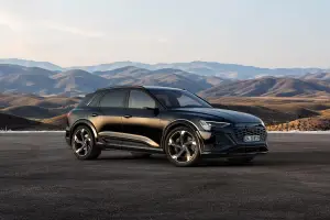 Audi Q8 e-tron e Q8 Sportback e-tron - 122