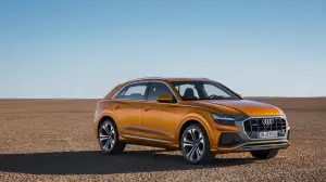 Audi Q8 - Foto ufficiali - 13