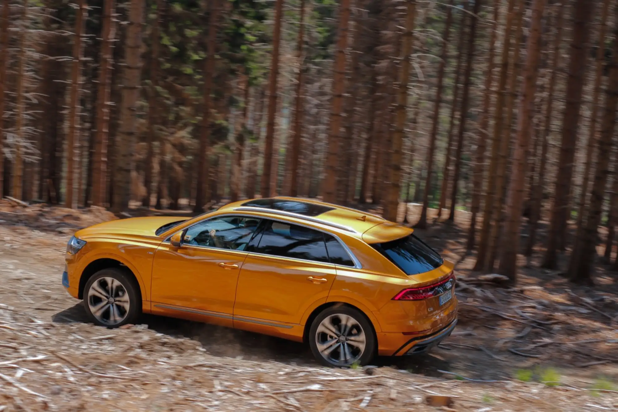 Audi Q8 - Test Drive - 26