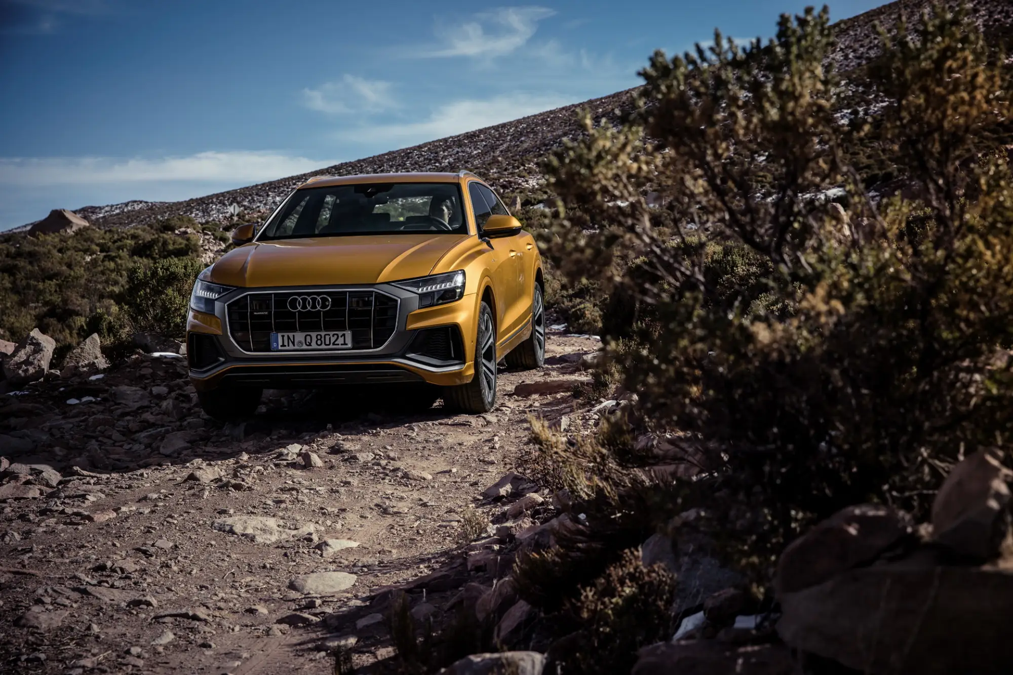 Audi Q8 - 20