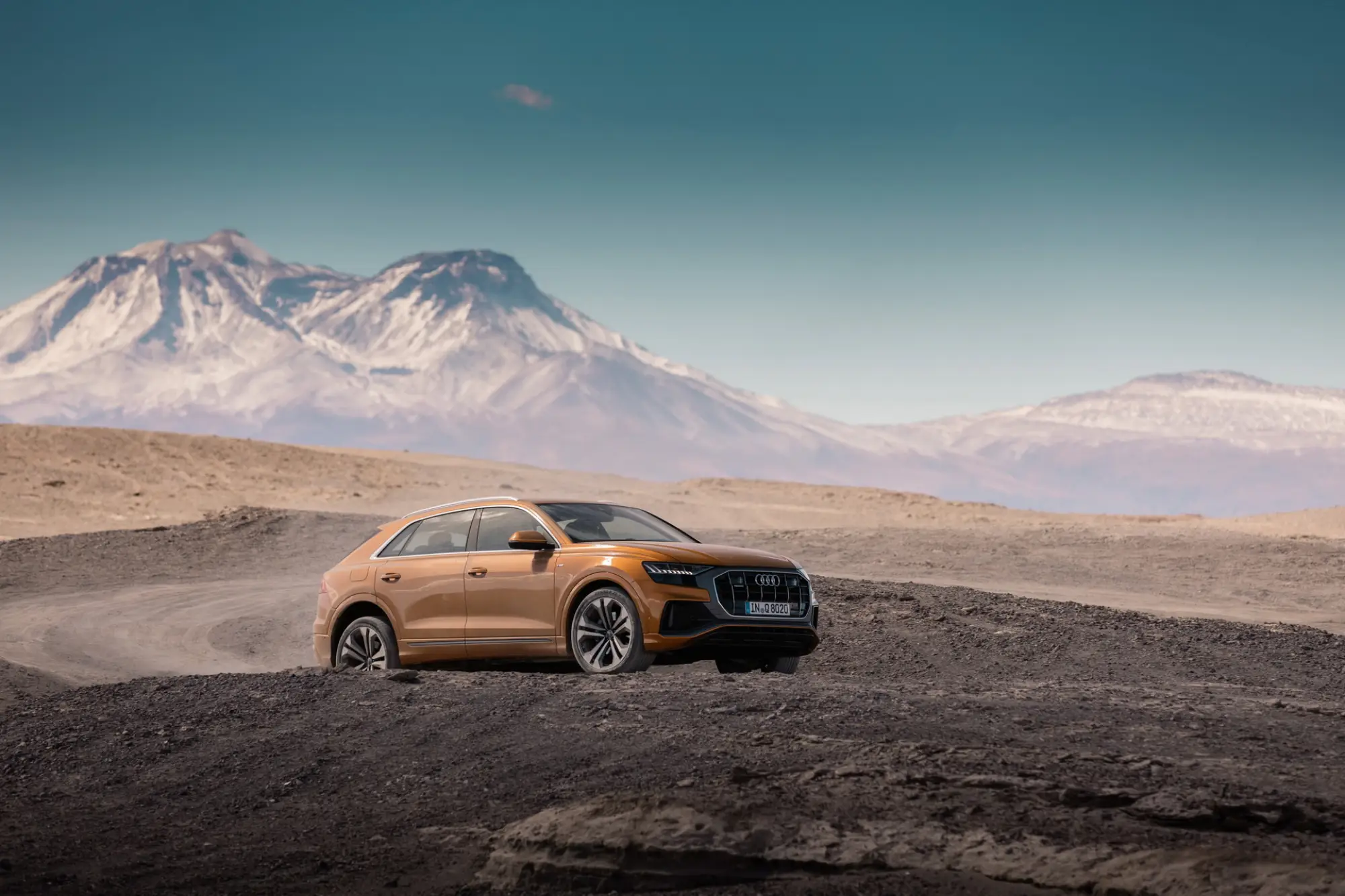 Audi Q8 - 25