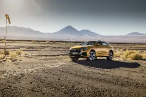 Audi Q8 - 27