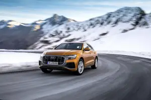 Audi Q8 - 44