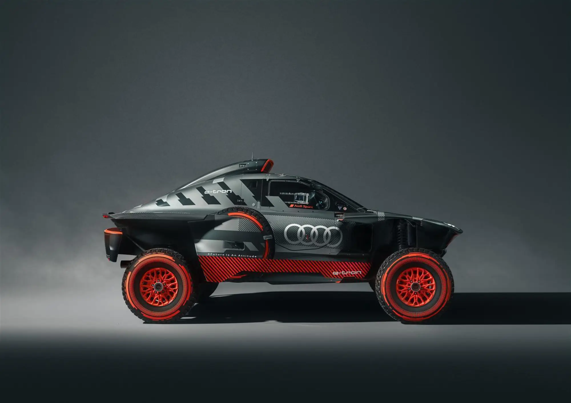 Audi RS Q e-tron E2  - 17