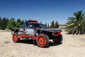 Audi RS Q e-tron E2  - 15