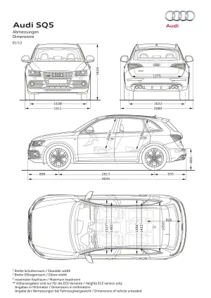 Audi SQ5 con motore TFSI - Salone di Detroit 2013 - 15