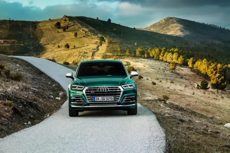 Audi SQ5 TDI 2019 - 1