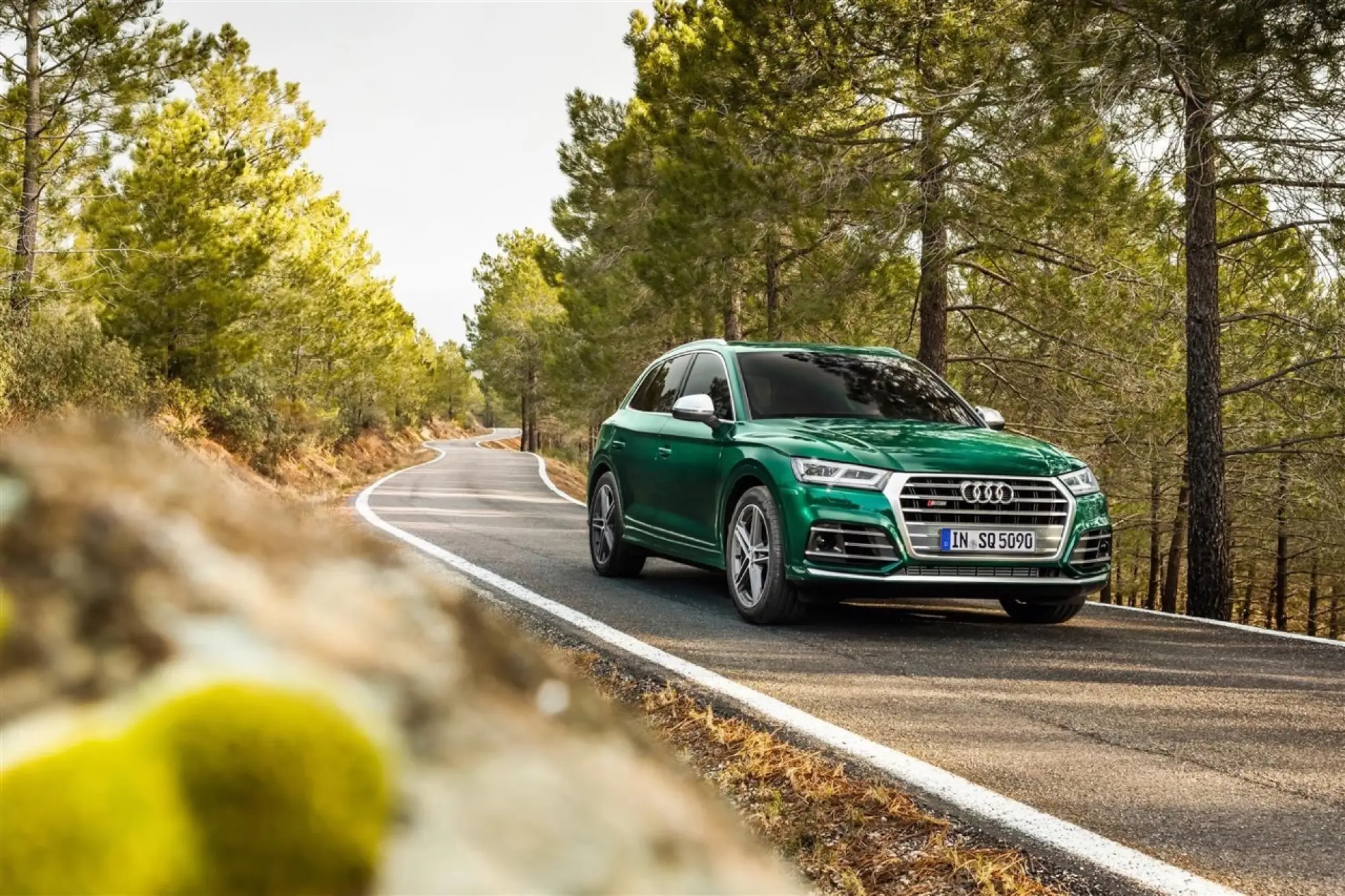 Audi SQ5 TDI 2019 - 6