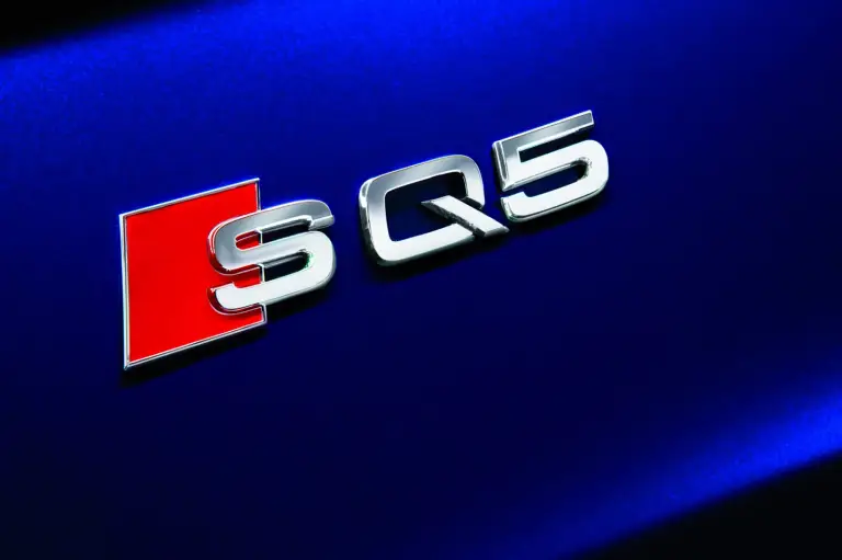 Audi SQ5 TDI - 22