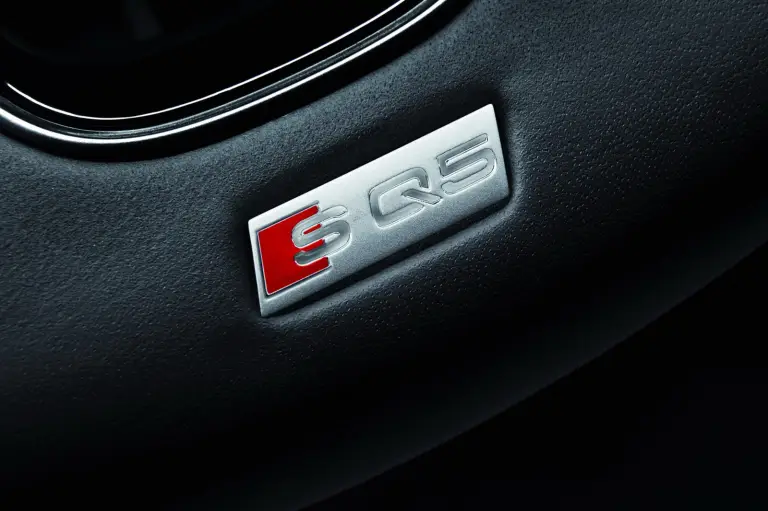 Audi SQ5 TDI - 32