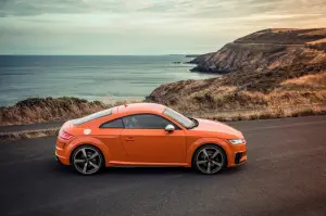 Audi TTS 2019