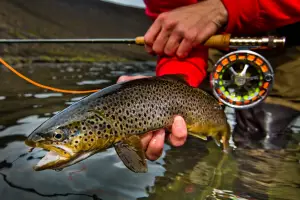 Bentley Bentayga Fly Fishing by Mulliner