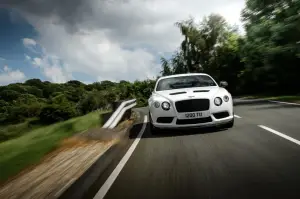 Bentley Continental GT3-R - 13