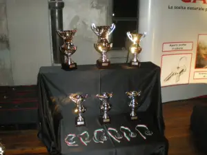 Best of Belron 2010 Milano - 17