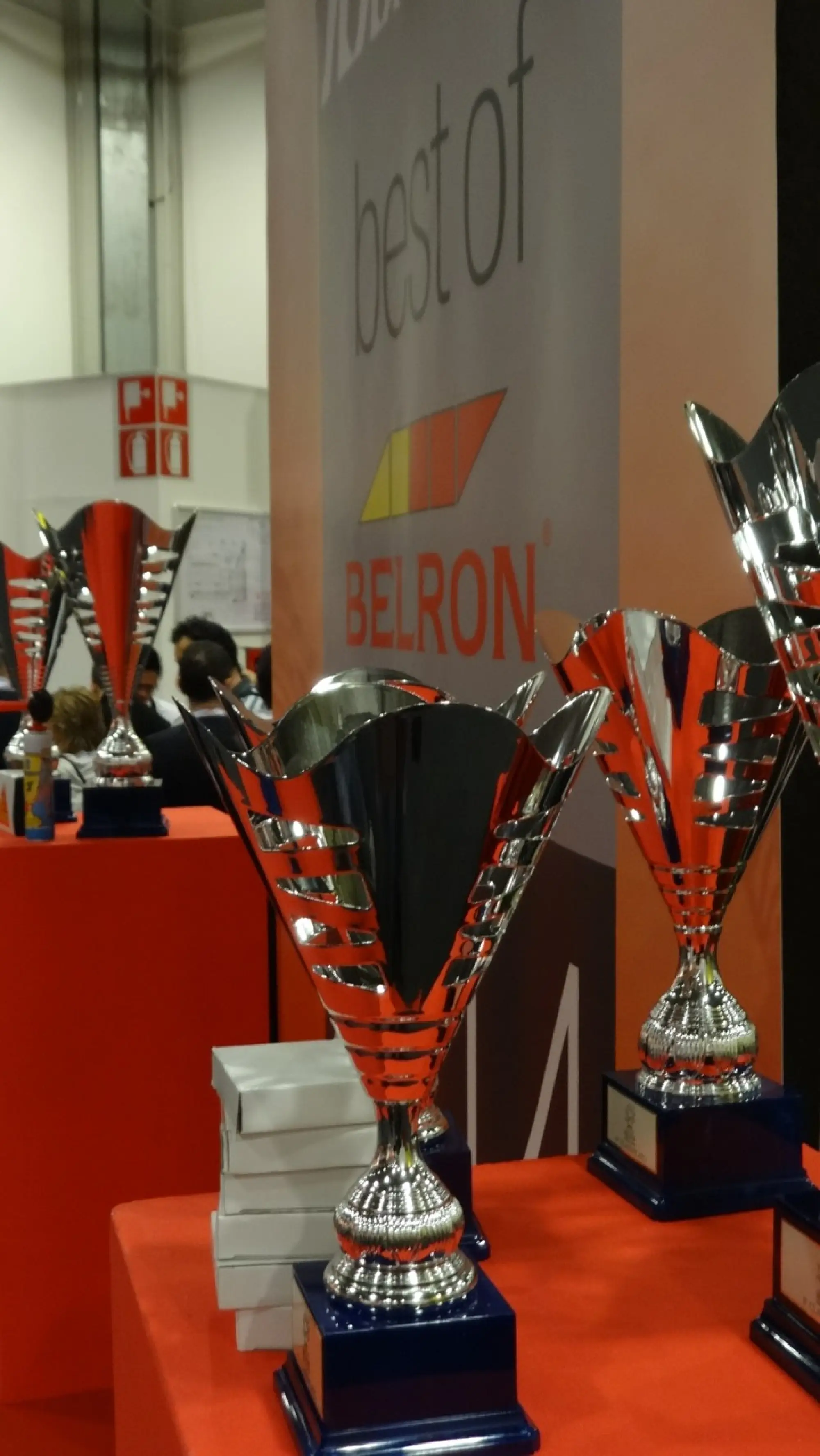 Best of Belron 2014 - 29