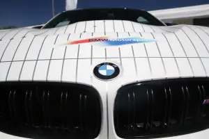 BMW Le Mans Winner Hommage