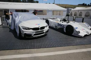 BMW Le Mans Winner Hommage - 1