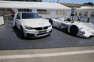 BMW Le Mans Winner Hommage