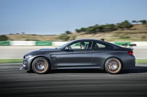 BMW M4 GTS - 14