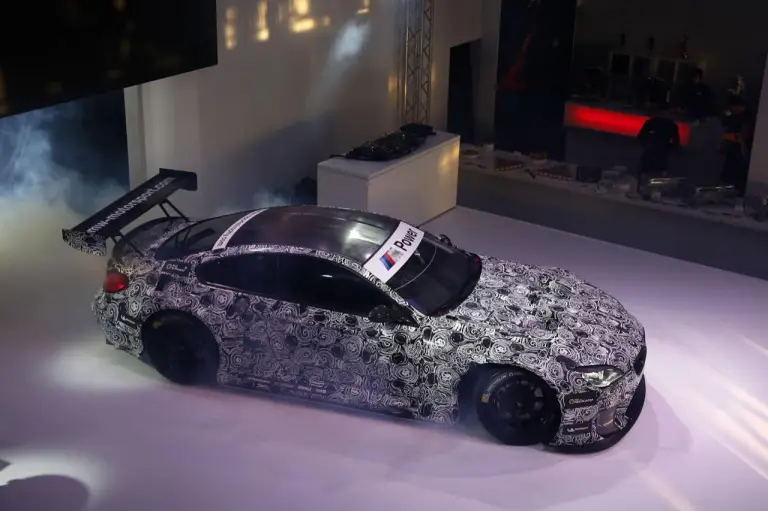 BMW M6 GT3 - The M Festival 2015 - 5
