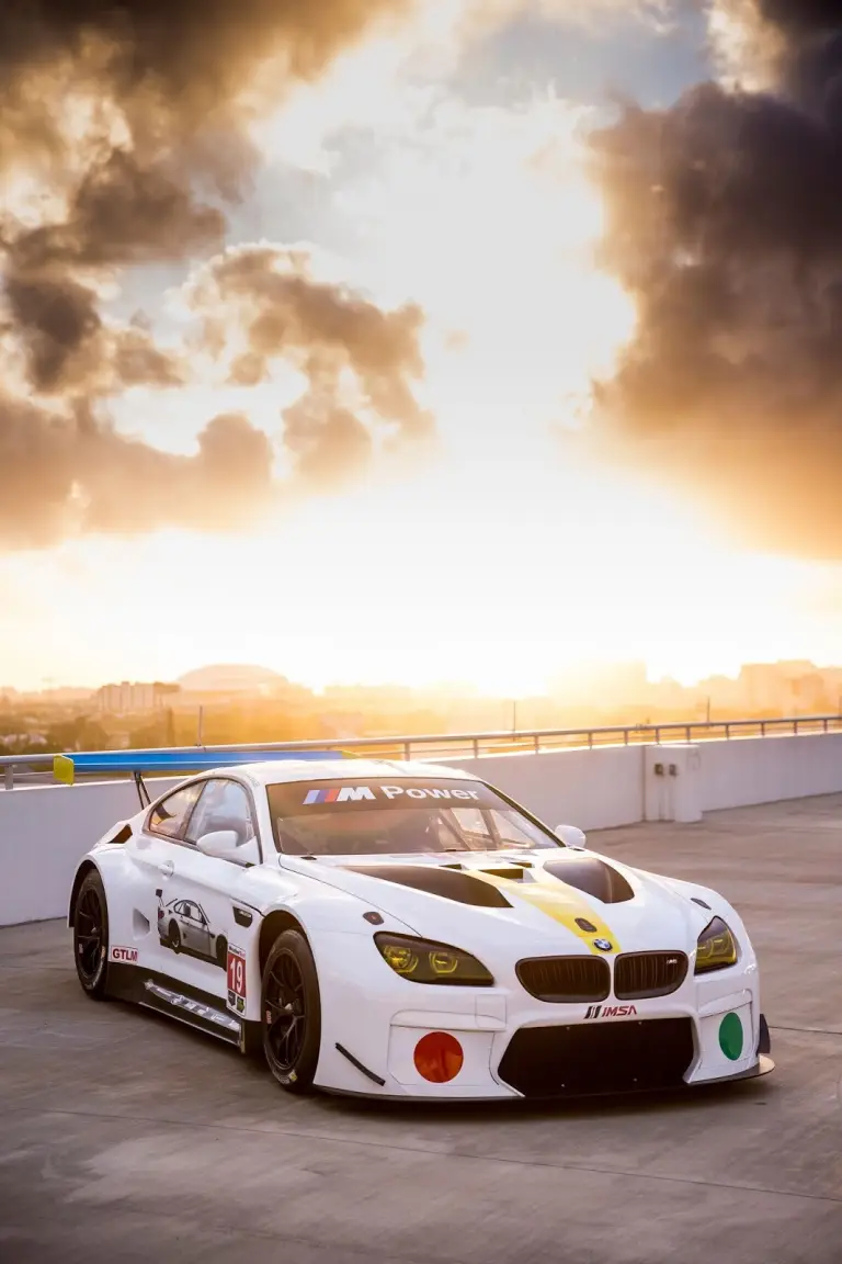 BMW M6 GTLM, 19^ Art Car - 14