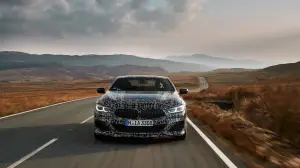 BMW M850i xDrive - Prototipo