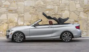 BMW Serie 2 Cabrio - 2015 - 180