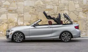 BMW Serie 2 Cabrio - 2015 - 181