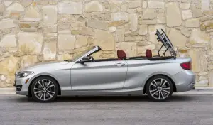 BMW Serie 2 Cabrio - 2015