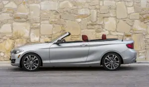 BMW Serie 2 Cabrio - 2015 - 185