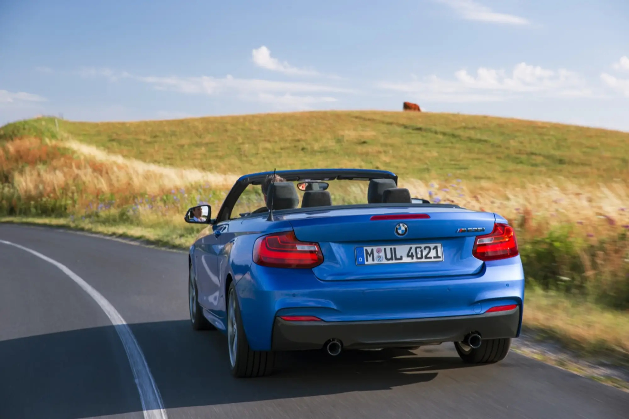 BMW Serie 2 Cabrio - 2015 - 39