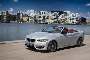 BMW Serie 2 Cabrio - 2015 - 47