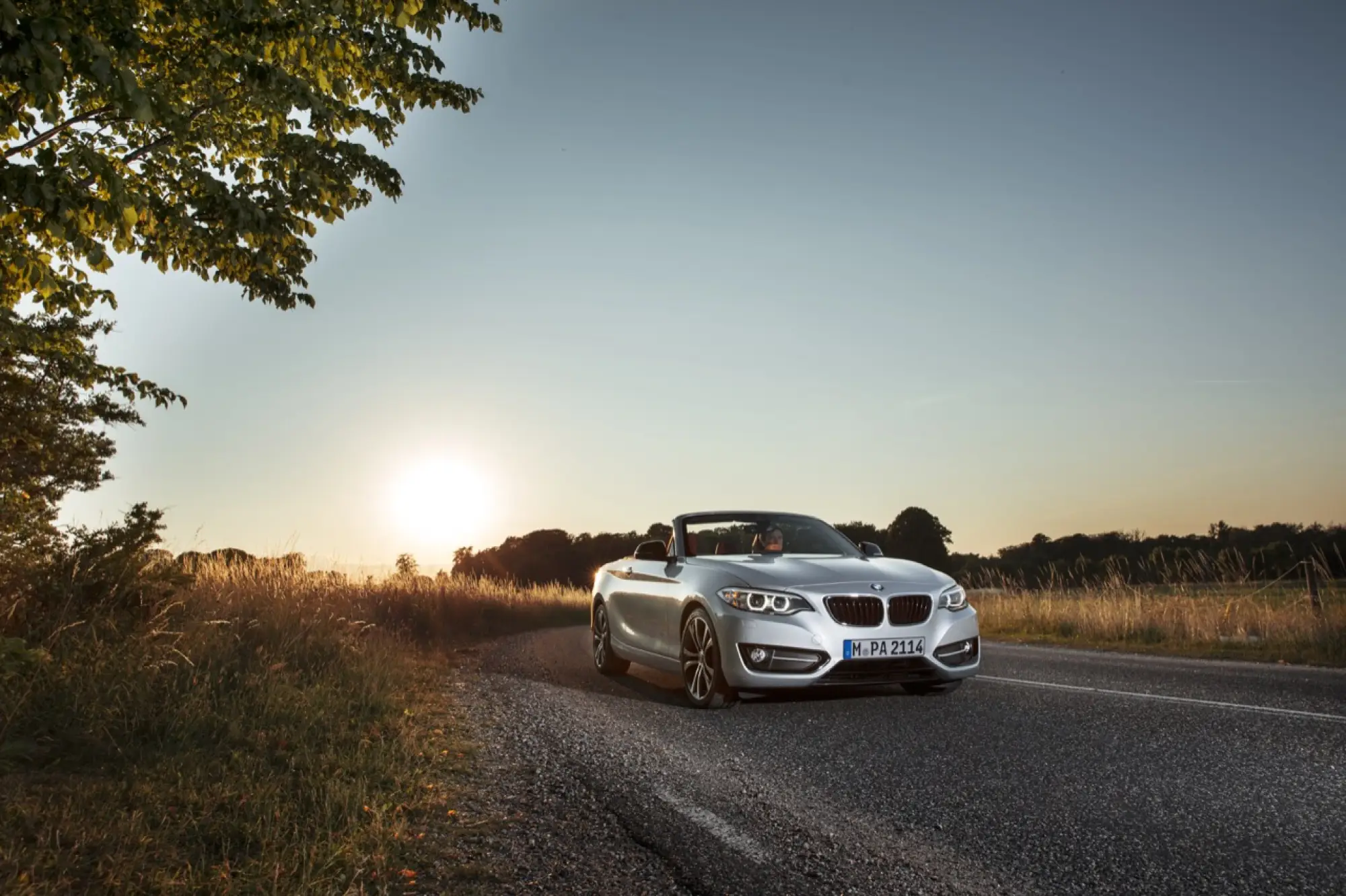 BMW Serie 2 Cabrio - 2015 - 50