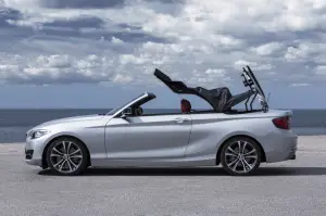 BMW Serie 2 Cabrio - 2015 - 60