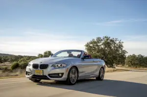 BMW Serie 2 Cabrio - 2015 - 96