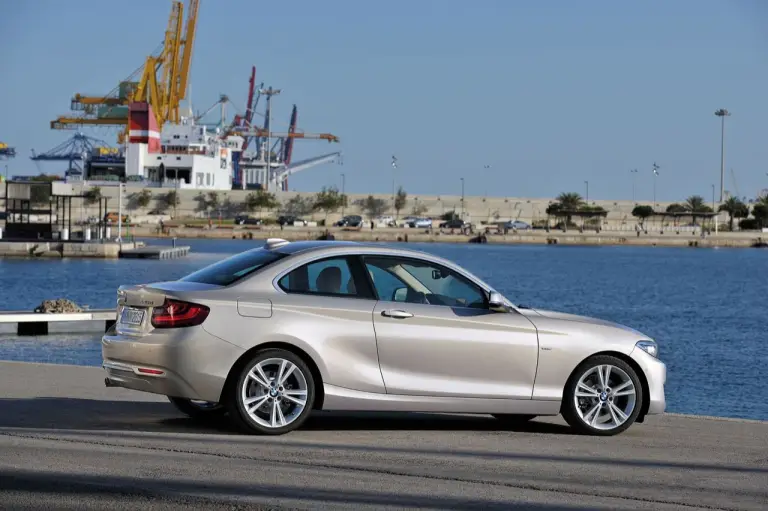 BMW Serie 2 Coupe - 20