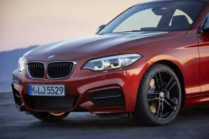 BMW Serie 2 MY 2018 - 16
