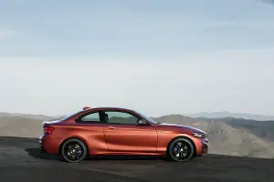 BMW Serie 2 MY 2018 - 20