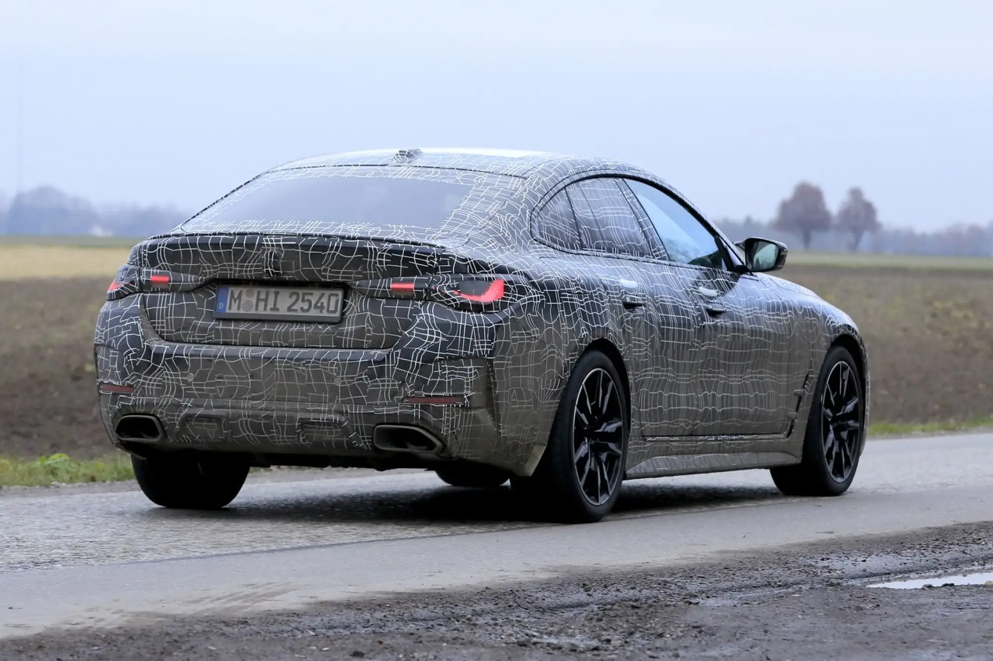 BMW Serie 4 Gran Coupé 2021 SPY  - 14