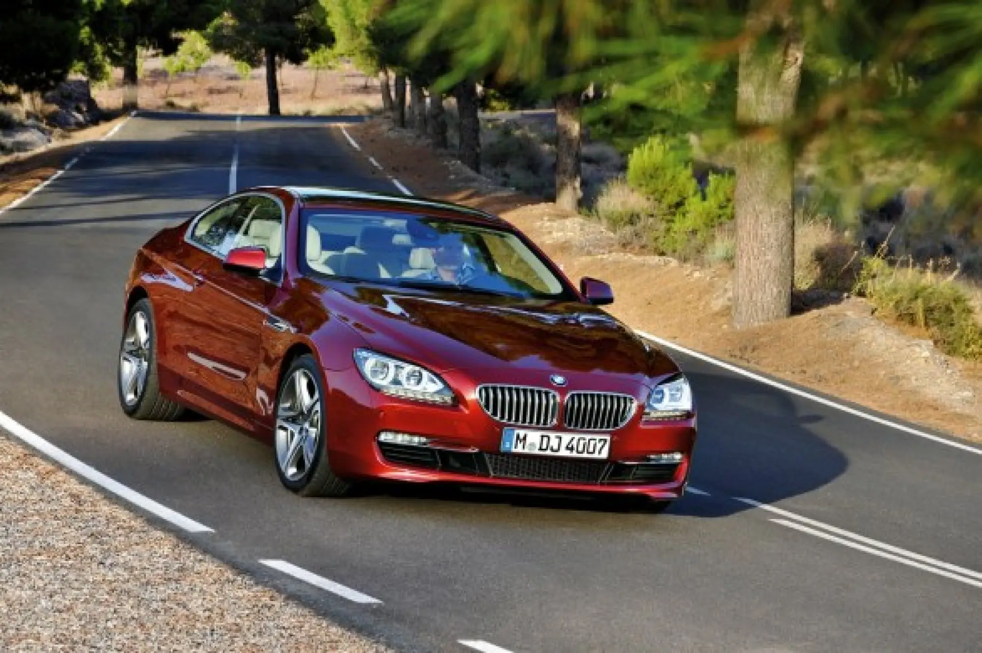 BMW Serie 6 Coupé  - 19