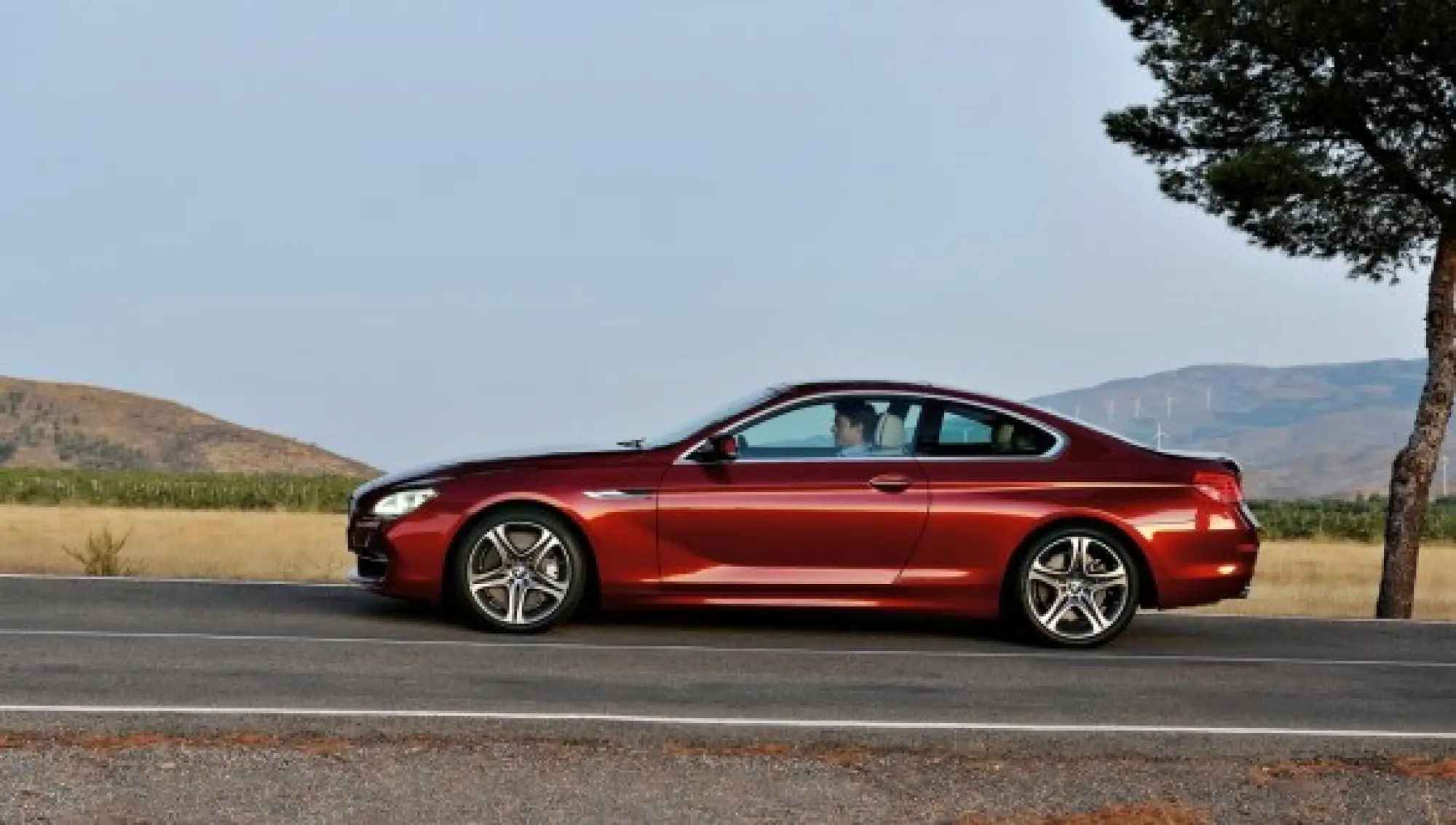 BMW Serie 6 Coupé  - 20