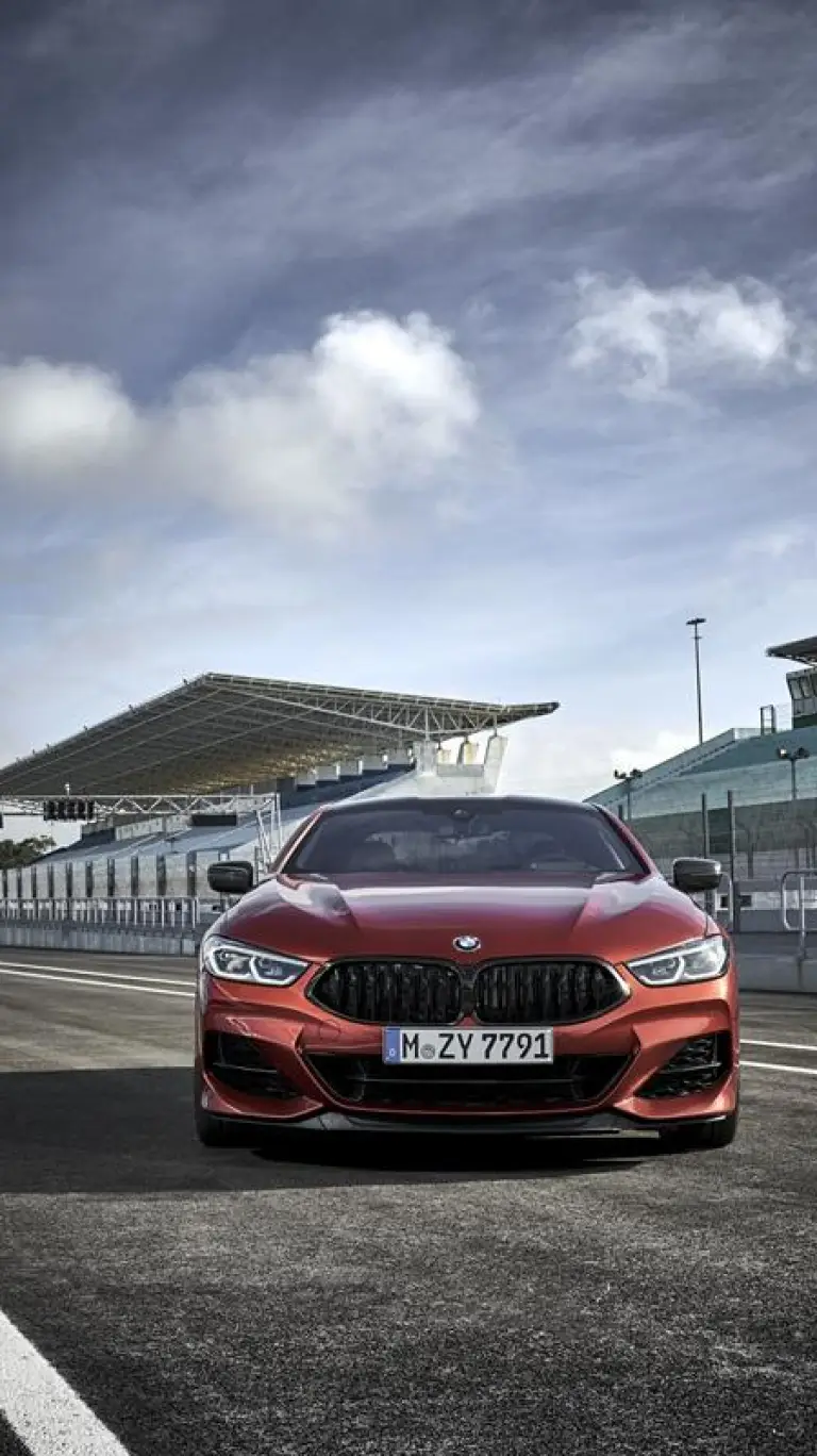 BMW Serie 8 Coupe - Foto ufficiali - 108