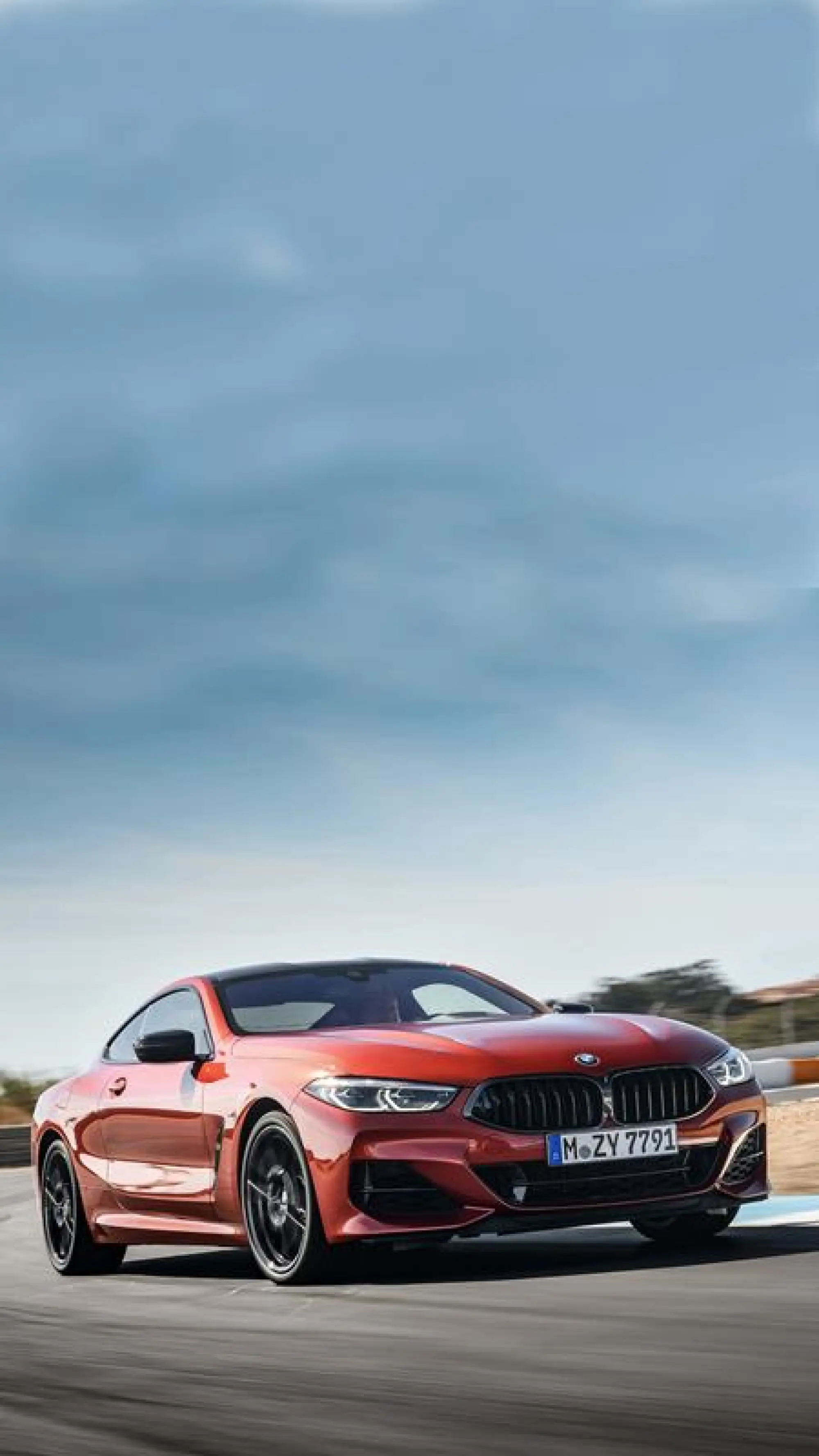 BMW Serie 8 Coupe - Foto ufficiali - 110