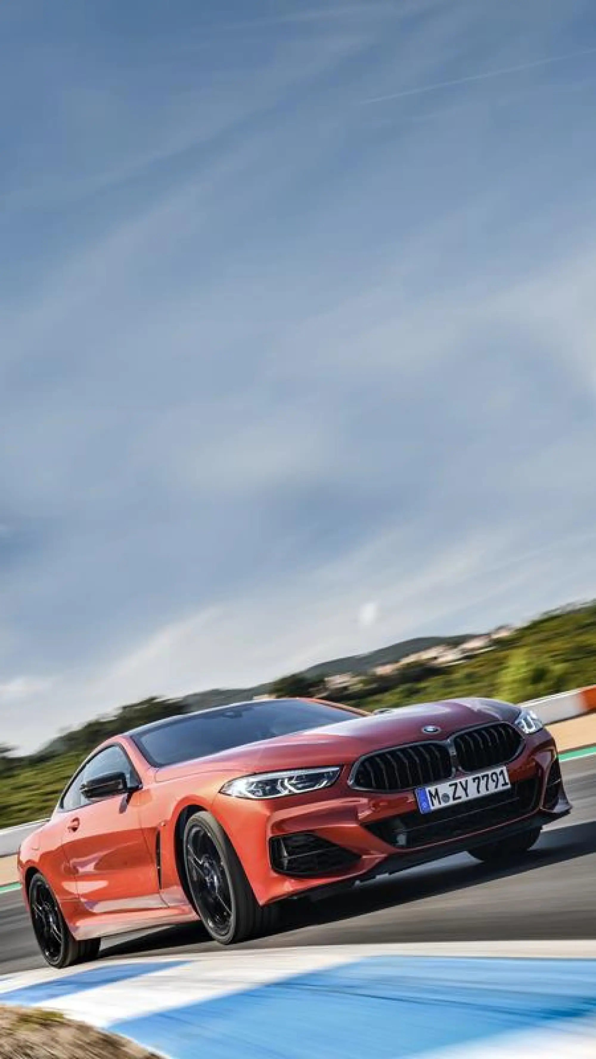 BMW Serie 8 Coupe - Foto ufficiali - 116