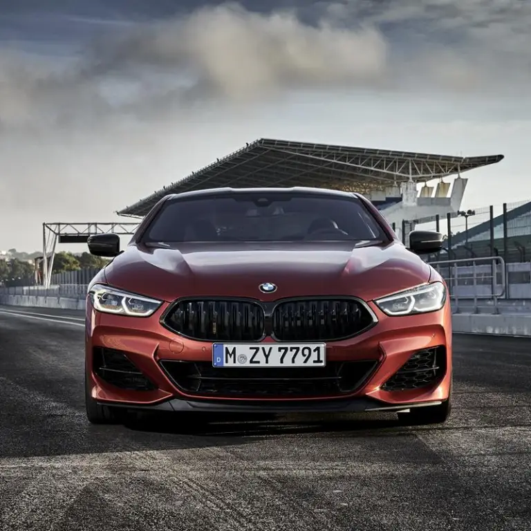 BMW Serie 8 Coupe - Foto ufficiali - 124